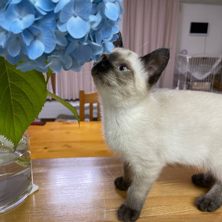 2c6b12da 313f 43ac 8871 4506c20530e9 1689795964430