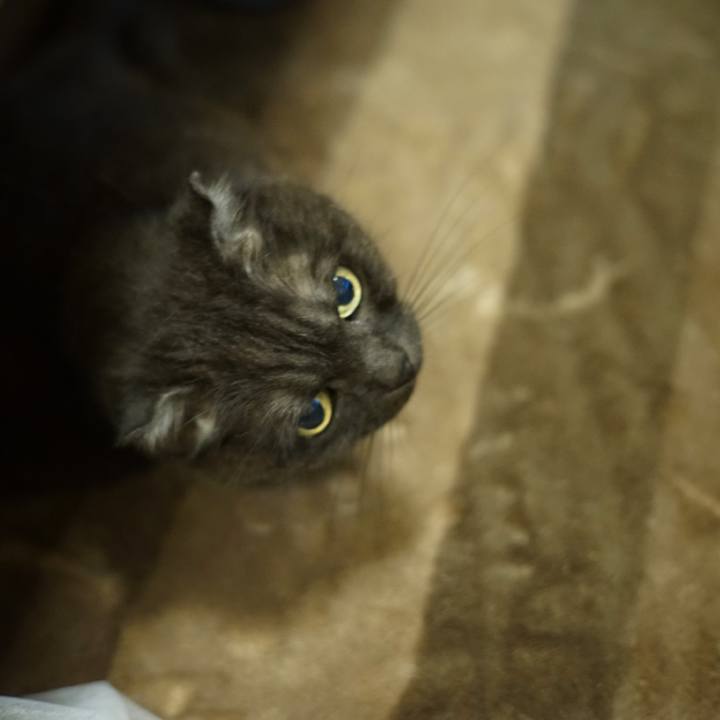 2c6b540f 6607 4bcd 9e5a 8cf515cf9852 1621270171119