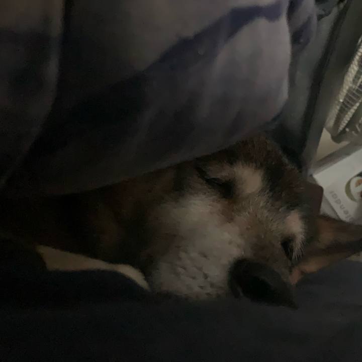 2c6b60f8 8d8f 4a59 8c0b 222fc5c7b52e 1577658100105