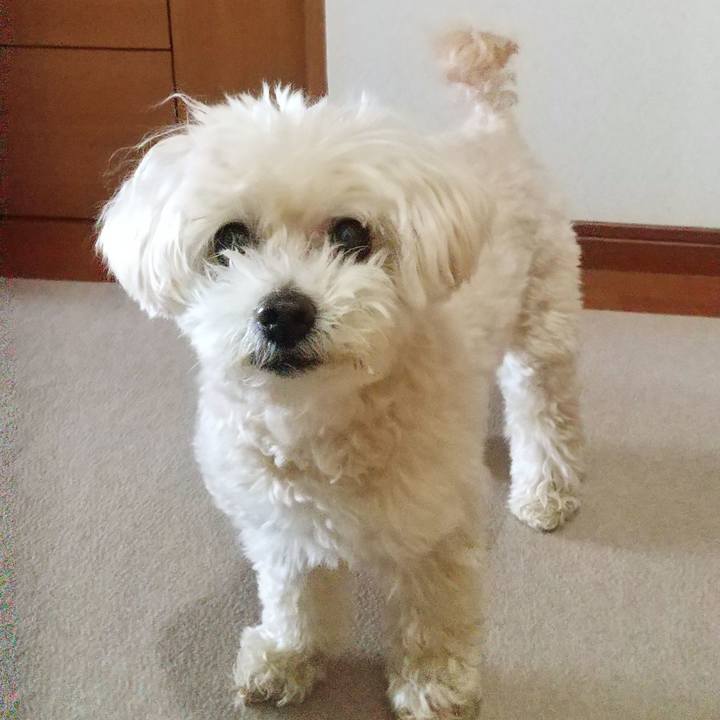 2c6b92cc cff4 4fa6 b019 2dfa9e930e4d 1652856427415