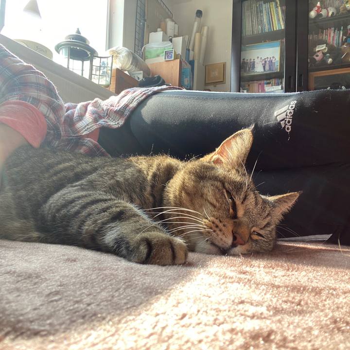 2c6bb881 c64f 4453 9216 1ea3ae08d682 1612676903215