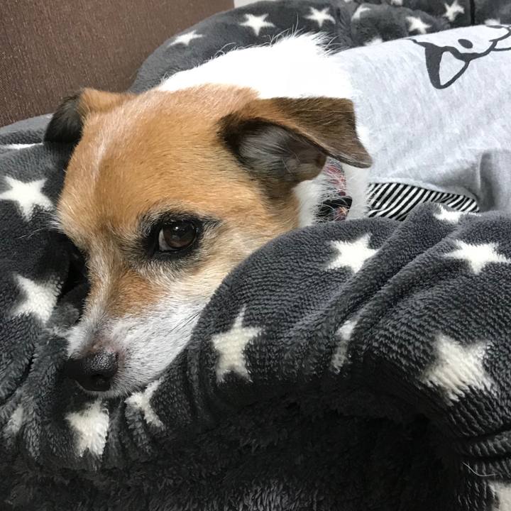 2c6bbbb9 85d1 40a3 b5dc 975e391783e9 1541715252488