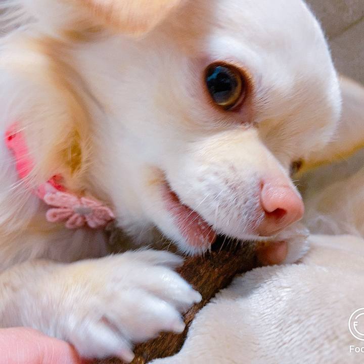 2c6bf36a a9fa 4817 967c bbcbed2f07e3 1614162773597