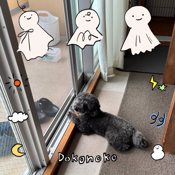 2c6c23bc fa92 435b 9667 bff2520f0e1f 1749448271019