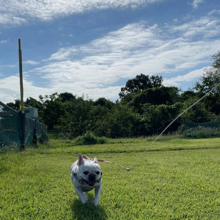 2c6c5142 c393 4b90 897a d7924c6bf4fd 1760063955279