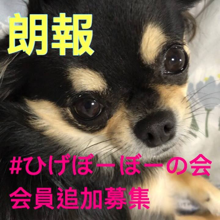 2c6c6ac1 ab7a 478d 8119 2adc34268ca7 1580389174198