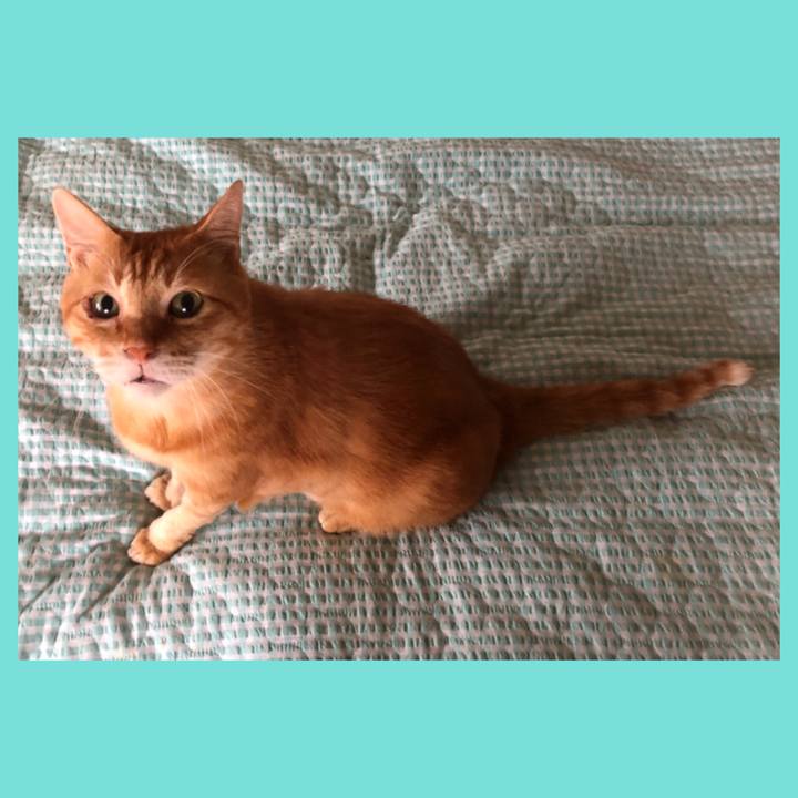 2c6cb37a d0a8 414d 8030 6fe39b65b19f 1691275402914