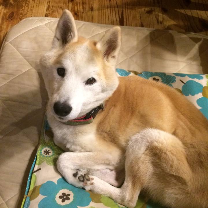 2c6cccfe 5202 436f bb63 faf68e87fe5b 1569854986440