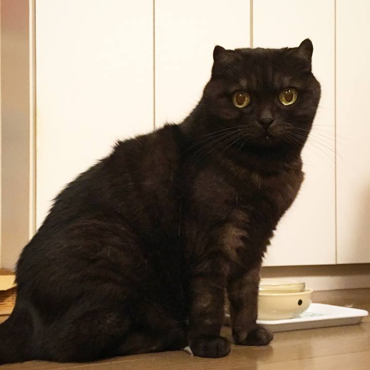 2c6cdb26 6544 400a 8072 8a4d5d9ab109 1543757211865