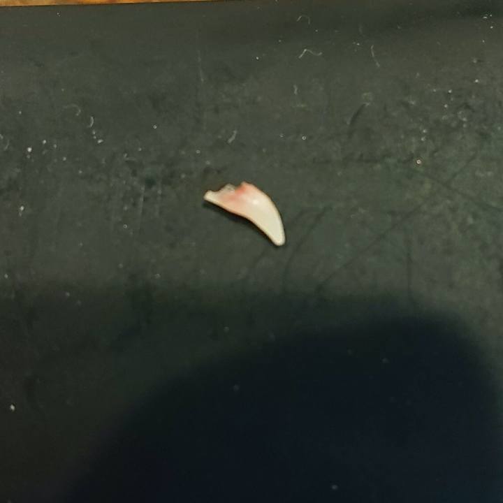 2c6cdc1a baaa 470c b78d 6477489646b8 1548764699008