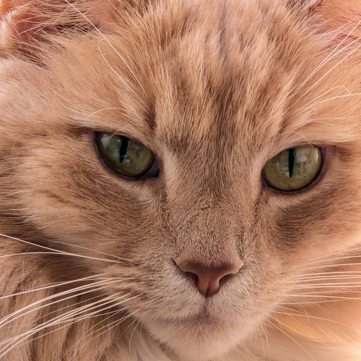 2c6ce7b2 c3d1 4e66 a474 a7bf3e438a19 1742440304277