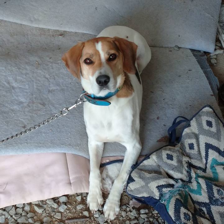 2c6cf988 f968 499e bb0d 81a3966dba17 1604633239743