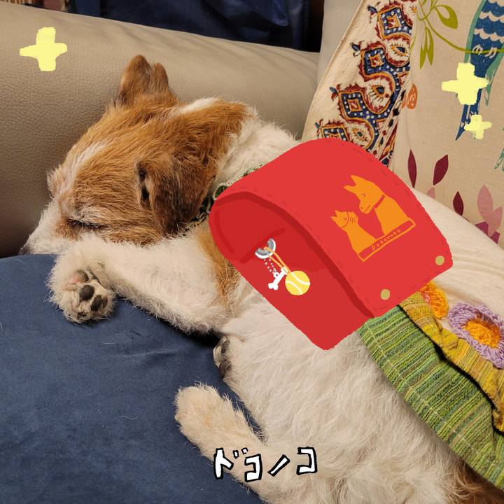 2c6d59c8 e6ad 4476 a237 9d37a90d4f5f 1744346083453