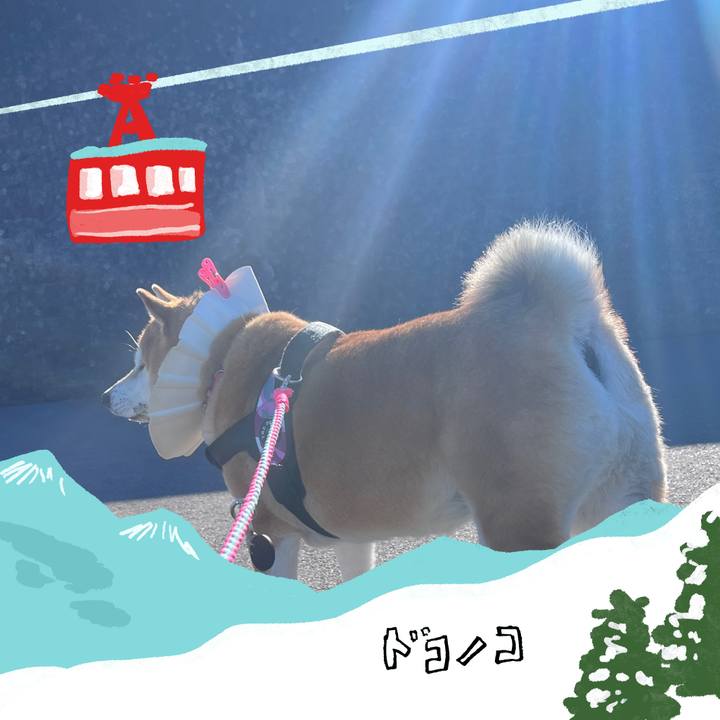 2c6d832f 4560 47af abdb 89b3ebc88265 1706755923147