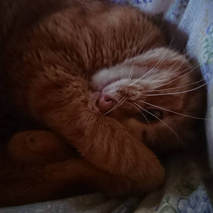 2c6dde30 4e1f 46eb b1ff 009dc31021ee 1655759601053