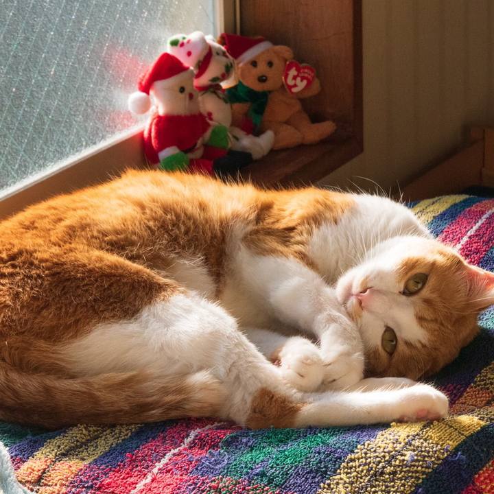 2c6dde9d 42d0 424b 948f 6caf9a469c70 1607949429668