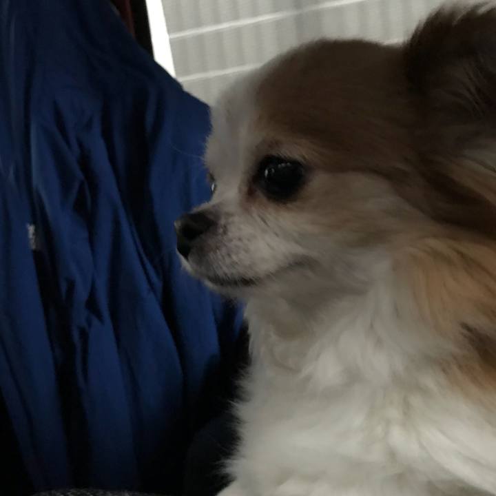 2c6de5e3 e356 4eb1 97f3 04aef4ac6988 1556761030130