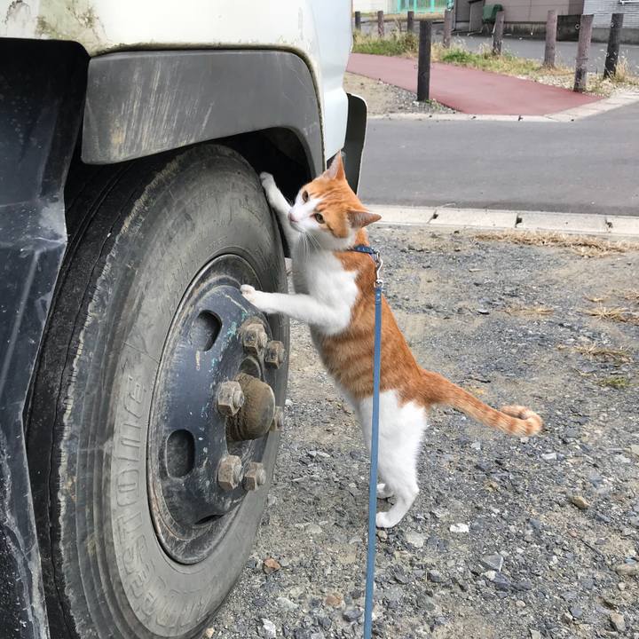 2c6df11f bde6 4db6 9c75 eaa7b5a58e95 1510468574350