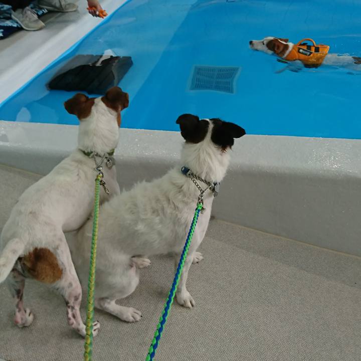 2c6ecedc 5cd7 4430 894c f4fd98f0c86a 1595325948775