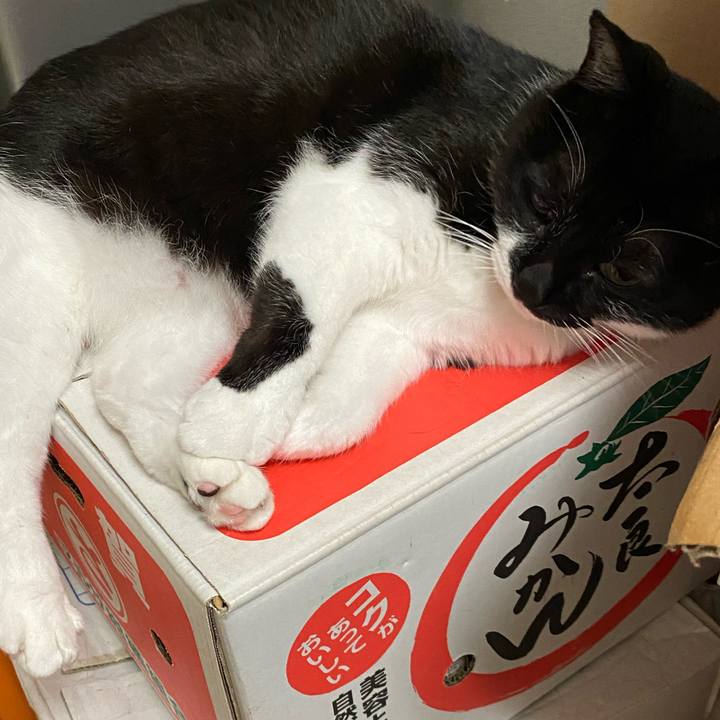 2c6f4e7c 21e2 4718 ad1a bd45fd66e7b0 1621088678077