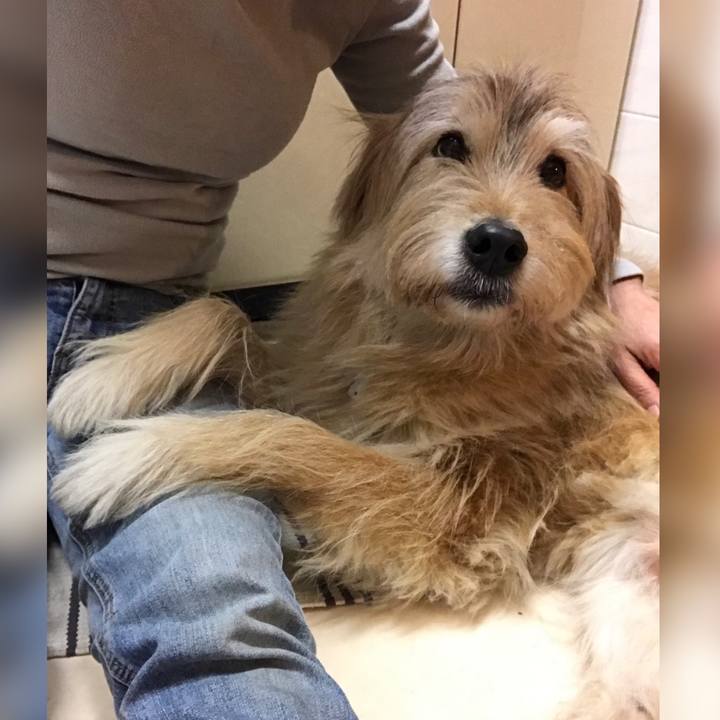 2c6fa918 af3d 40fc b30d a3383b366b61 1641568260702