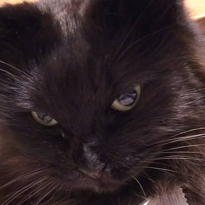 2c6ff6cd 15cb 4dd1 ac35 031e055cf2a7 1548936086338