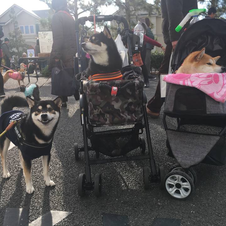 2c70287d 6b88 4eae 935c b30f3af00b58 1575197915878