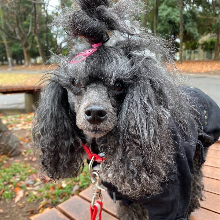 2c7042ec 39a2 42a6 b7f4 81408c018b18 1708568315554