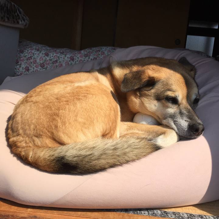 2c7047bc 8300 4e9a 92de cc8e6821371d 1554251815097