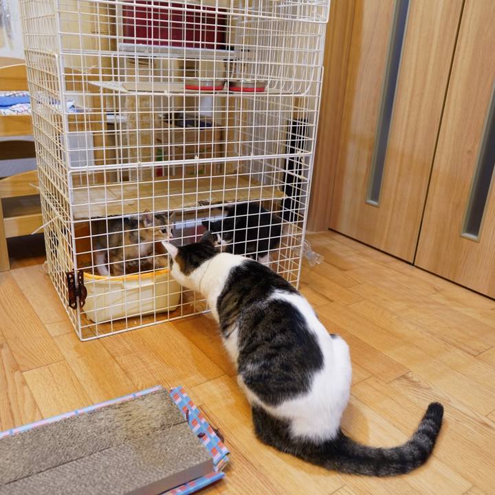 2c704c87 b401 4506 ba06 b755ca5565e5 1567263753631