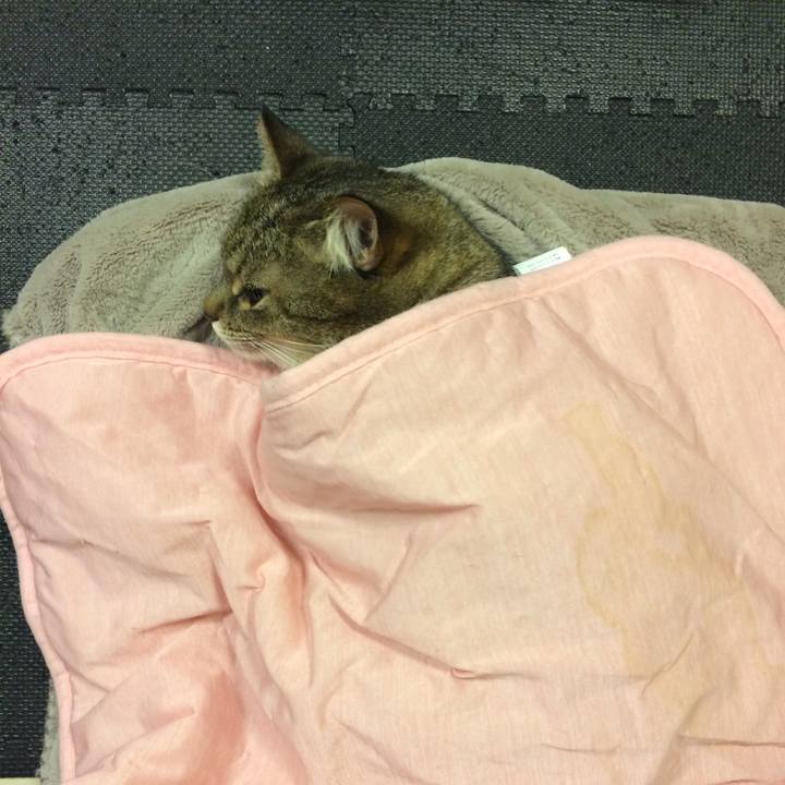 2c707475 f874 435d 9579 cf7a946b1884 1611567140861