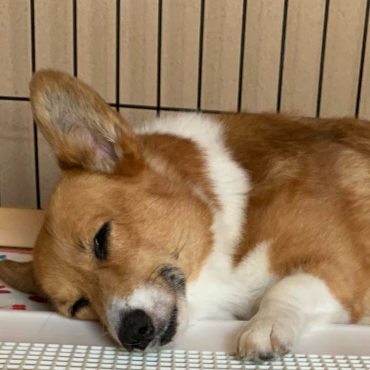 2c707f45 2fdc 4953 b252 07420781926e 1628505820561