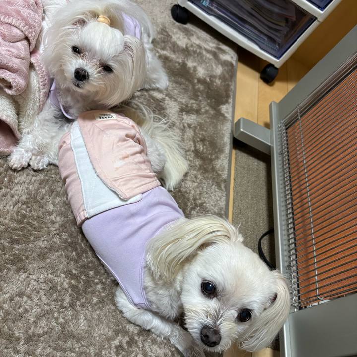 2c709b8a 9110 4011 b793 af0445e15743 1762672071274