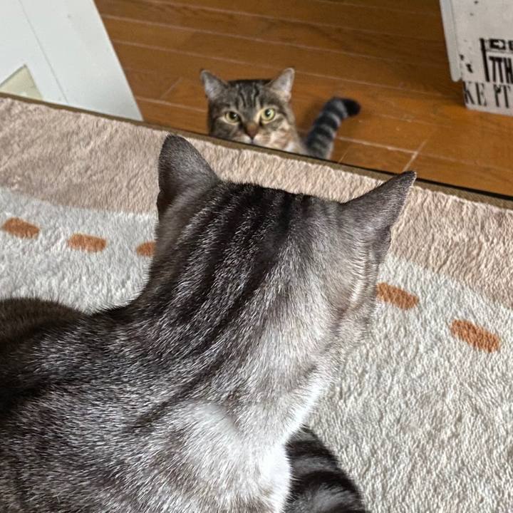 2c70a040 78b8 4929 8563 be3e82f49830 1577847494605