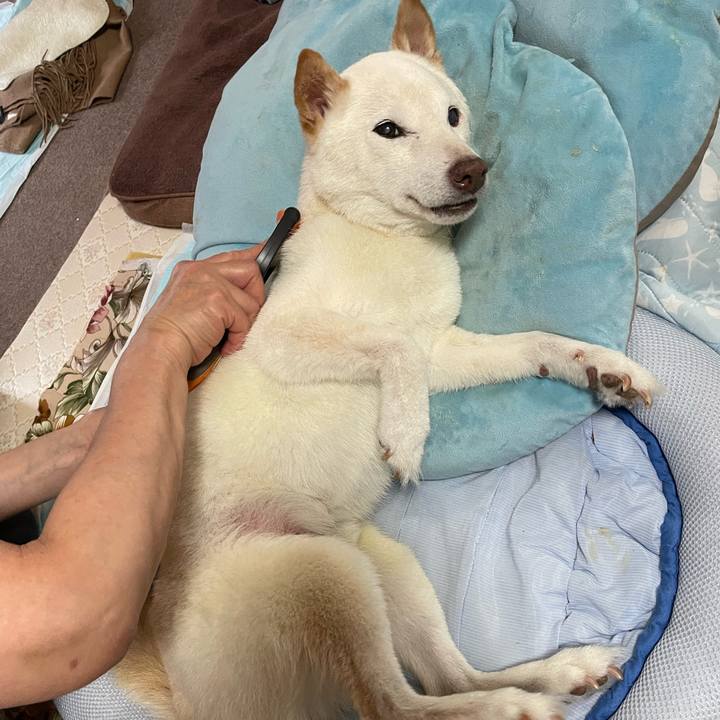 2c70ac36 15a5 4da6 8480 cbc26c95131e 1657859060467