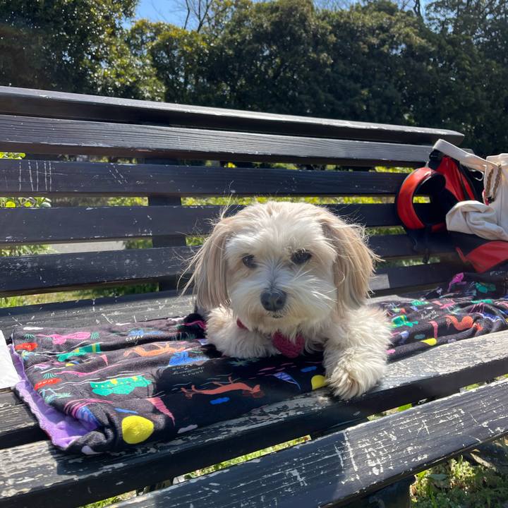 2c70b8f5 2b23 4896 a39c 5b6c06433548 1774069342394