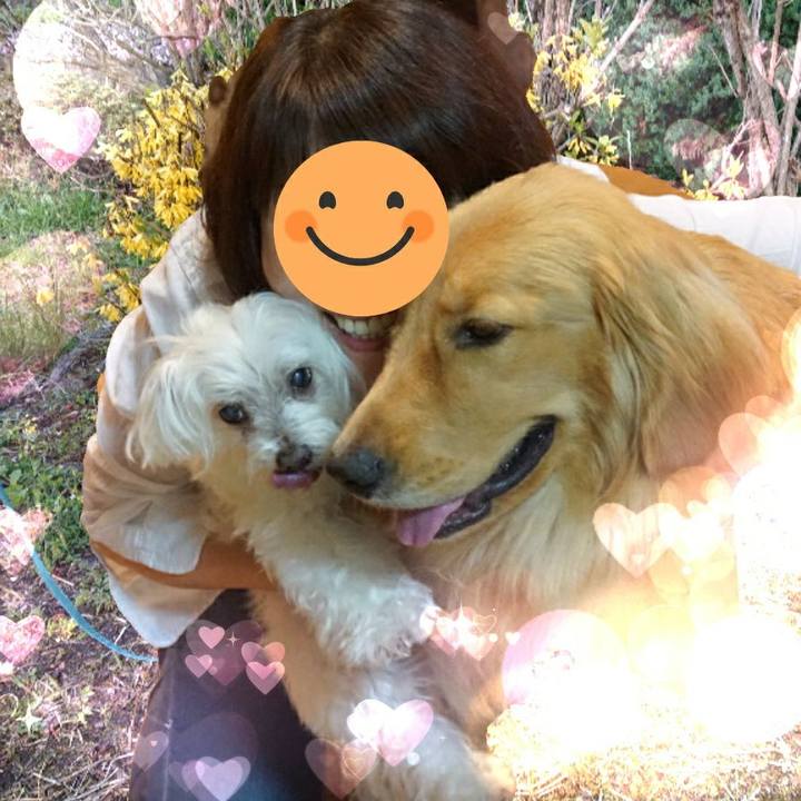 2c70c629 adc7 45e1 abde cfe3617223c1 1588997993730