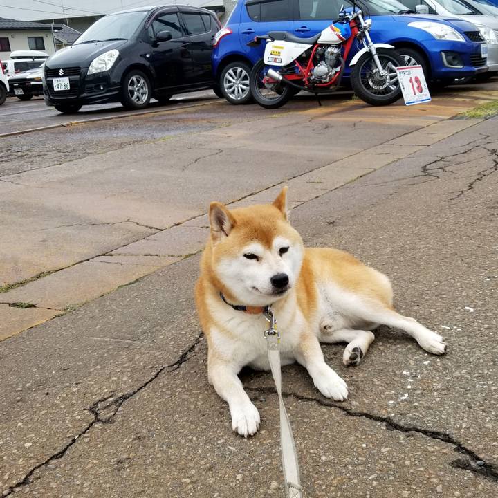 2c70f75b cf98 42fb 80ea 1cf7c249e72c 1568787539806