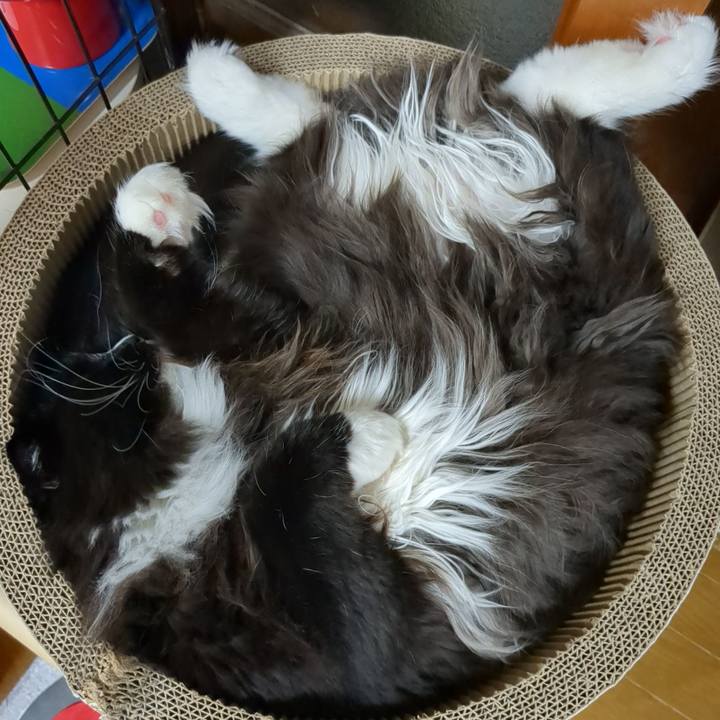 2c71194c 71f7 4227 bd56 4ef1c8770573 1685278035128