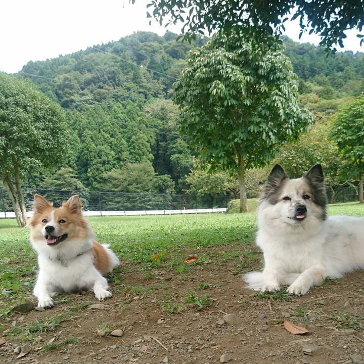 2c715e28 929c 423b aeb0 344554212250 1569847957625