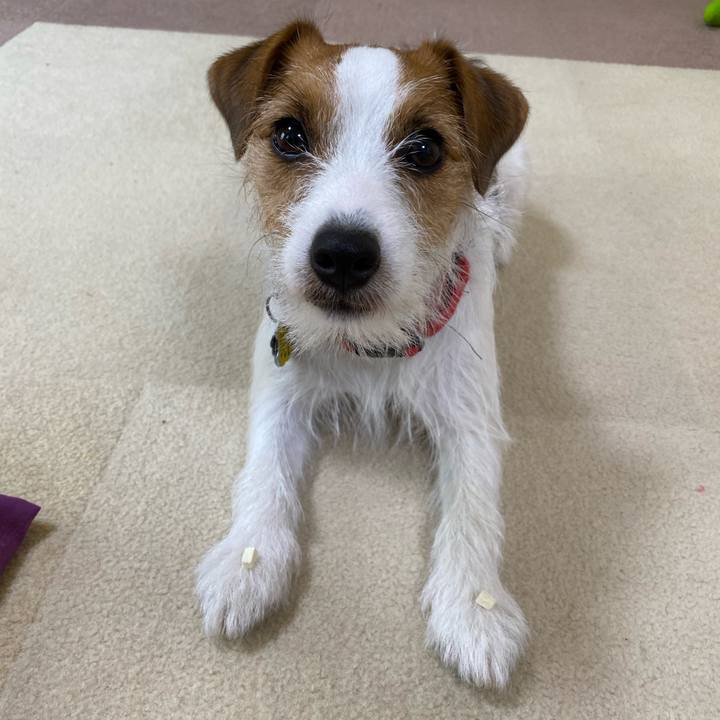 2c7164d7 615b 48a8 b301 8bb52cc3a707 1656159967923