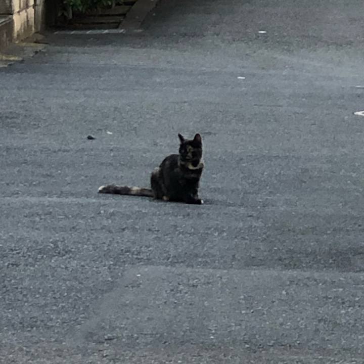 2c71835d 03fc 40f3 823c 0f21000b1e65 1590749892849