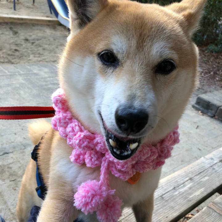 2c71a11f 375b 42f6 9d2f 3fcbf49398ff 1548139625683