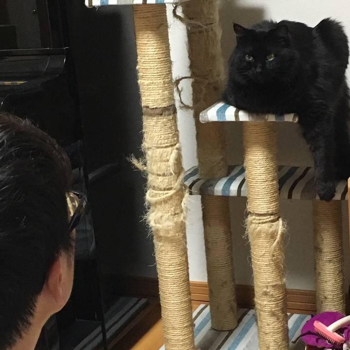 2c7202eb 31e0 4b45 bad5 0a181528fe62 1525605248406