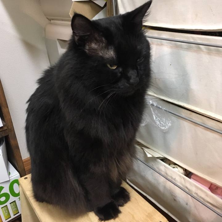 2c7214d8 69b2 4155 b84e b1053e7cd93d 1515677733652