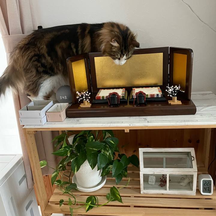 2c721e58 5f2e 4314 9fc4 c2919f6926da 1677135519094