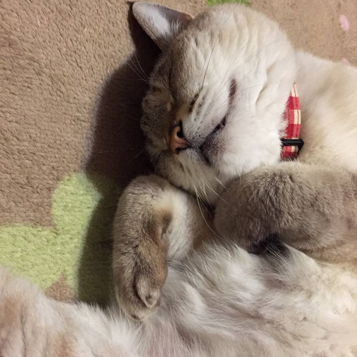 2c7236bd d6e8 4b2b 992c 205598756aa5 1546175949239