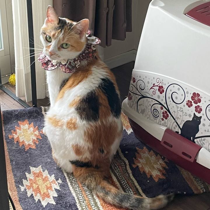 2c7280d4 5e22 4a09 937f 913a177697a8 1749771461293