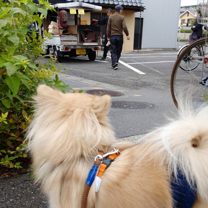 2c72a39b 53f0 4404 afa1 37abc2a42a2e 1761273221871