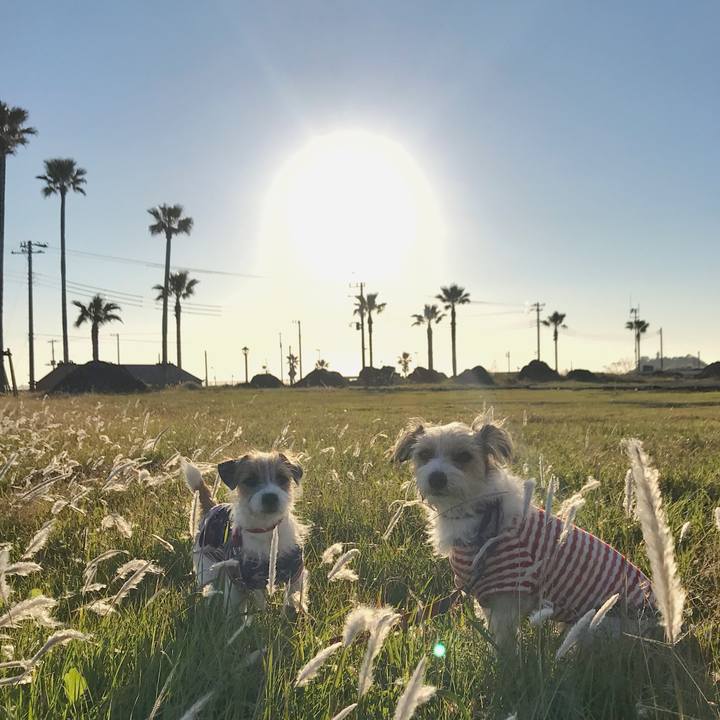 2c72b1b0 ff19 410d 887f 7d1d8735b6d4 1764073336108